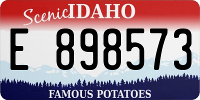 ID license plate E898573