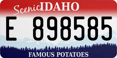 ID license plate E898585