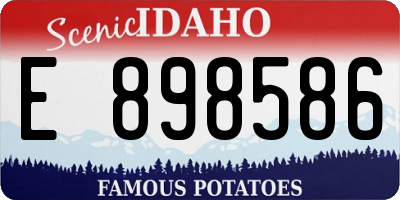 ID license plate E898586