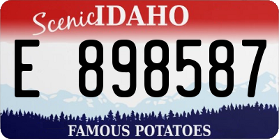 ID license plate E898587