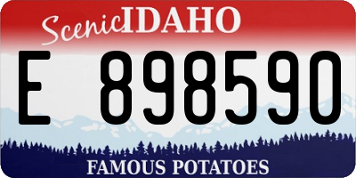 ID license plate E898590