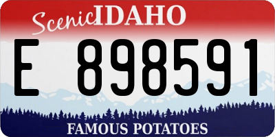 ID license plate E898591