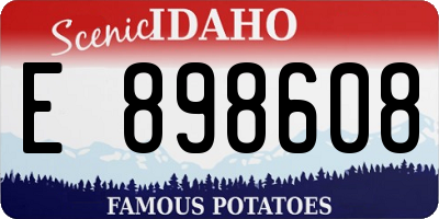 ID license plate E898608