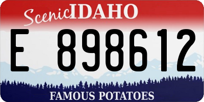 ID license plate E898612