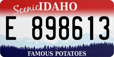 ID license plate E898613