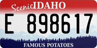 ID license plate E898617