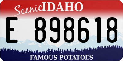 ID license plate E898618