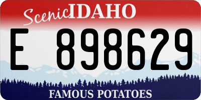 ID license plate E898629
