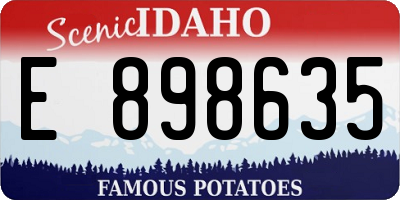 ID license plate E898635