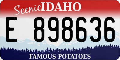 ID license plate E898636