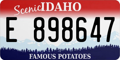 ID license plate E898647
