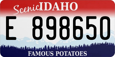 ID license plate E898650