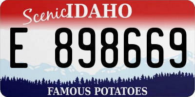 ID license plate E898669
