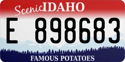 ID license plate E898683