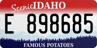 ID license plate E898685