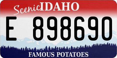 ID license plate E898690