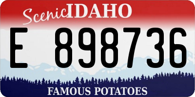 ID license plate E898736