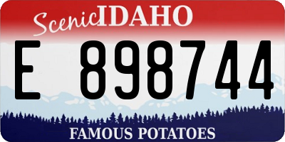 ID license plate E898744