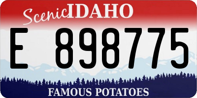 ID license plate E898775