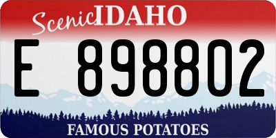 ID license plate E898802