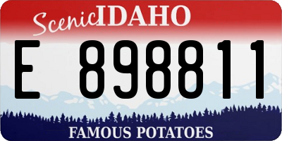 ID license plate E898811