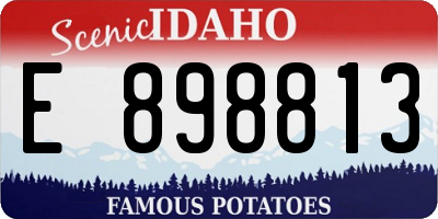ID license plate E898813