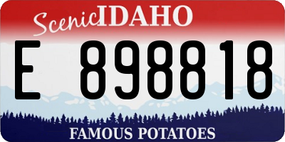 ID license plate E898818