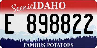 ID license plate E898822