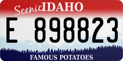 ID license plate E898823