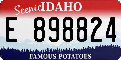 ID license plate E898824