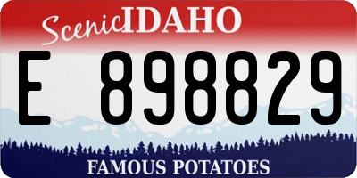 ID license plate E898829