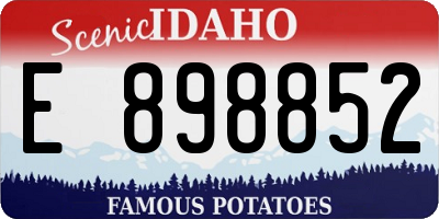 ID license plate E898852