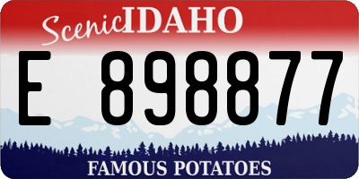 ID license plate E898877