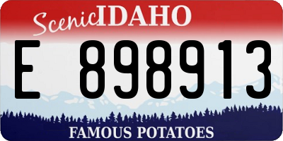 ID license plate E898913