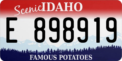 ID license plate E898919