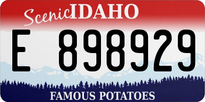ID license plate E898929