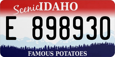 ID license plate E898930