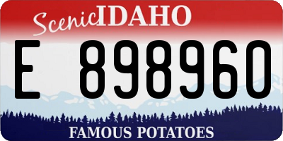 ID license plate E898960