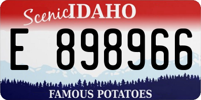 ID license plate E898966