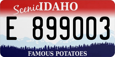 ID license plate E899003