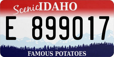 ID license plate E899017