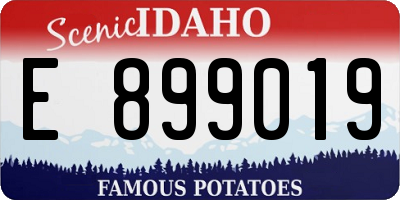 ID license plate E899019