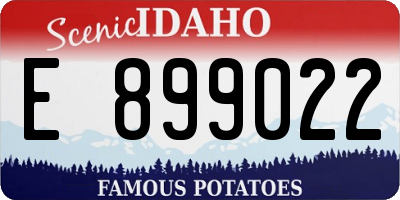 ID license plate E899022