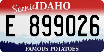 ID license plate E899026