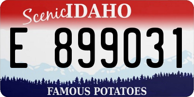 ID license plate E899031