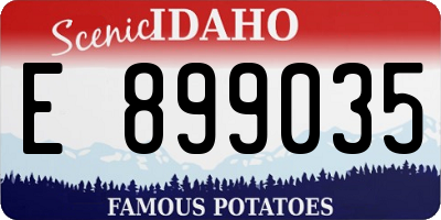 ID license plate E899035