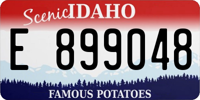 ID license plate E899048