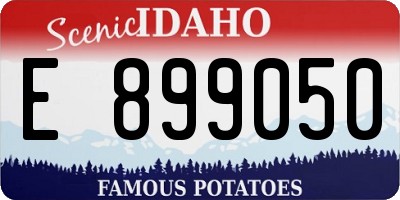 ID license plate E899050