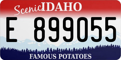 ID license plate E899055
