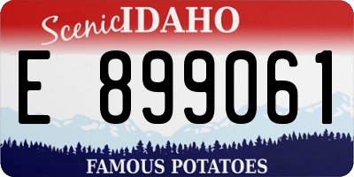 ID license plate E899061
